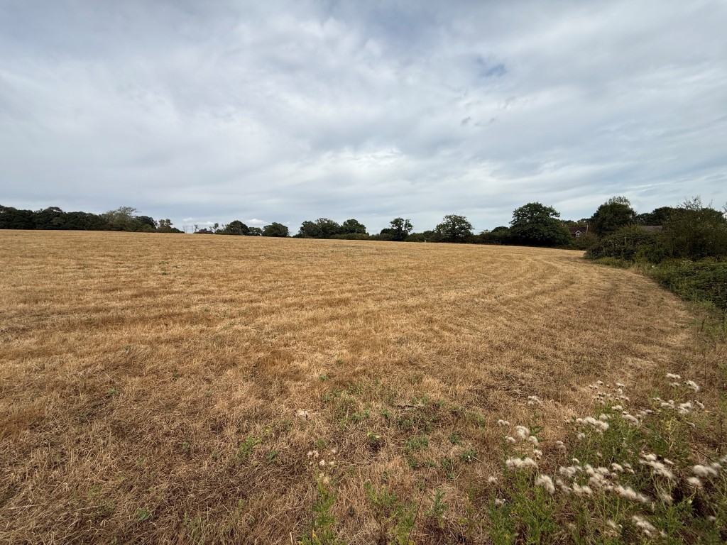 Lot: 43 - LAND WITH PLANNING FOR OVER 50,000 SQUARE FEET OF COMMERCIAL SPACE - land
